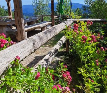 Ljubno House | Turizem Drobež