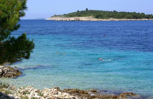 Primosten Burnji Apartment | Two bedroom apartment with balcony and sea view Bilo, Primošten (A-12870-b)