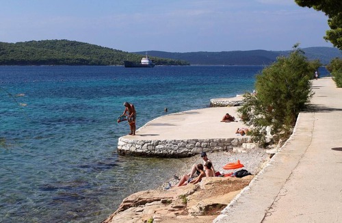 Cove Osibova (Milna) Apartment | Two bedroom apartment with terrace Cove Osibova, Brač (A-23774-a)