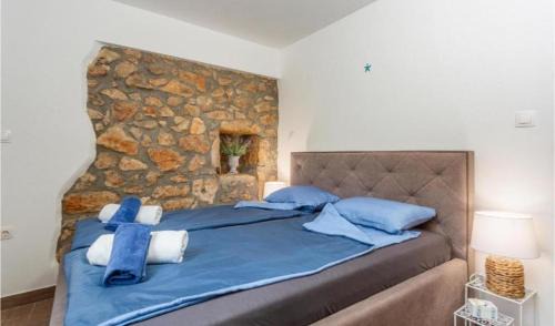 Sveti Vid Dobrinjski Villa | VILA IRENA