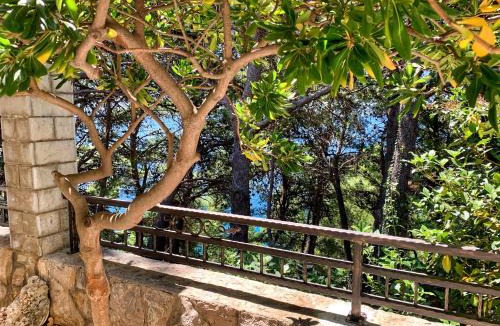 Brela House | Villa AMore Brela