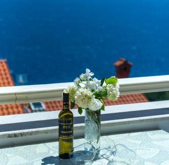 Mosenice Apartment | Villa Bellavista