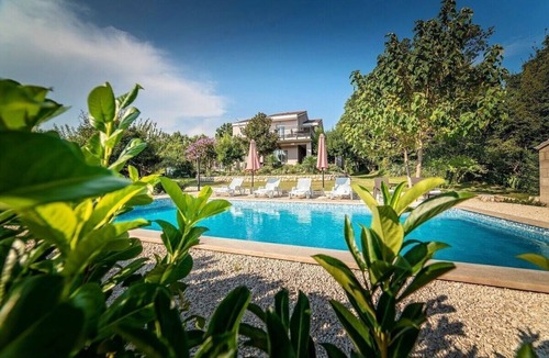 Donji Prolozac House | Villa Flower garden with pool (V0011-K1) - Donji Proložac