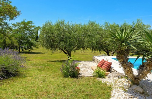 Smoljanci Villa | Villa Franciska (Istria - Svetvinčenat)