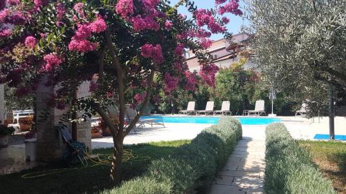 Mali Maj Apartment | Villa Hope Apartments