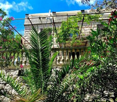 Kobas Apartment | Villa Kralj Mljet