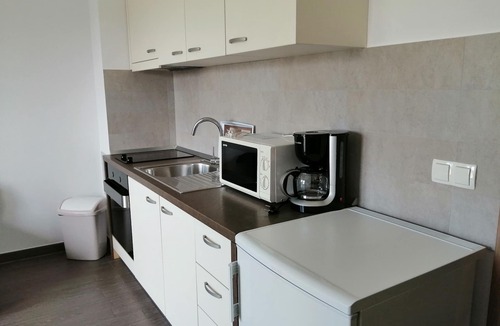 Cesarica Apartment | Villa Luce, apartment Maslina 70 m from the sea, with sea view at Karlobag.