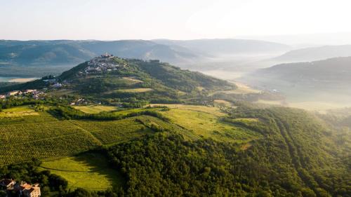 Motovun Villa | Villa Meloni