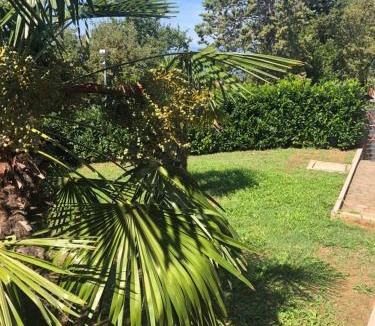 Njivice Apartment | Villa Rudy Holiday Home