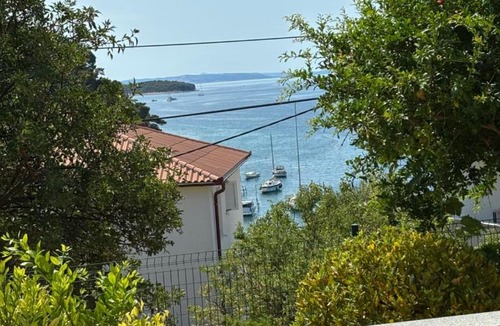 Palit Apartment | Villa Tatjana, Rab