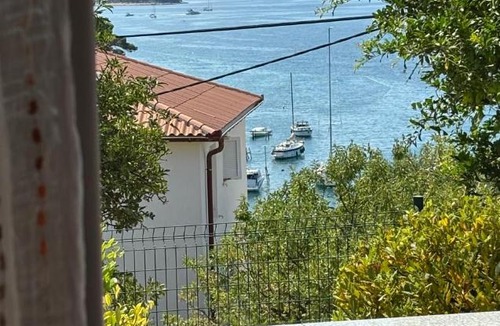 Palit Apartment | Villa Tatjana, Rab