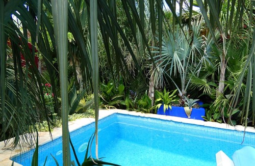 Kastel Kambelovac Villa | Villa Tropica - Secluded Private Pool, Tropical Garden & Total Privacy near Split