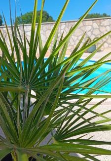 Zbandaj Villa | Villa Zara