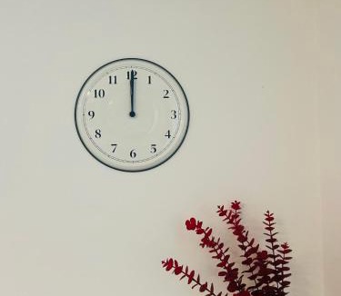 Koper Apartment | ViMaJU