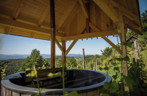 Srednje Grcevje House | Vineyard cottage Škatlar 3