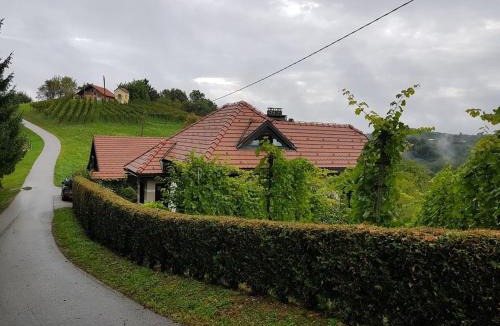 Videm House | Wine & Nature & Tour