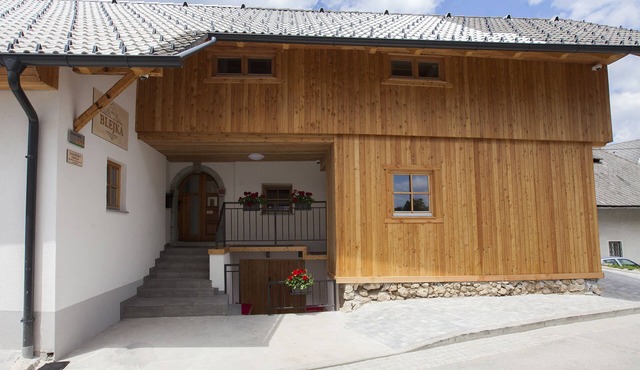 1861 Blejka apartments