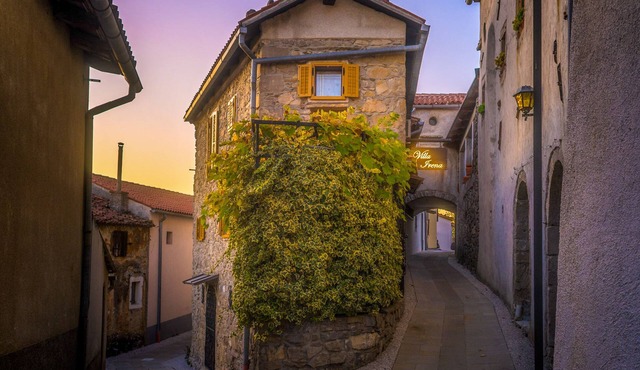 500yo Historic House with Unique Panoramic Terrace - Heart of Vipava Wine Valley