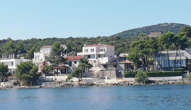 Agava in Žman