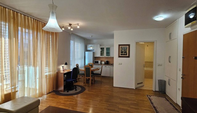 Anita Tour As/Central 1BR App, free garage, AC, Wi-Fi, 7min walk from old town in Ljubljana