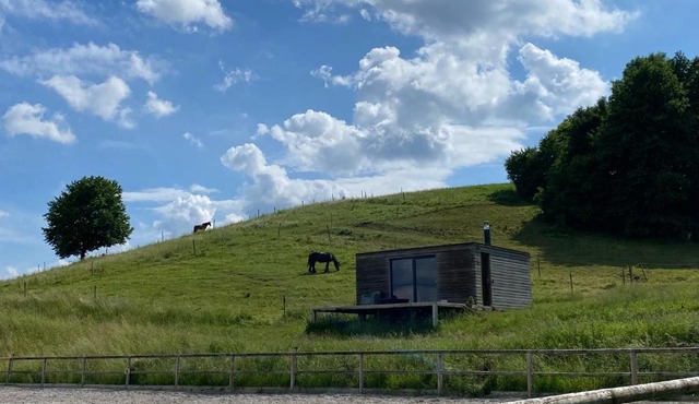 Apartma Hisa konj in Pesnica