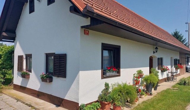 Apartma Vida