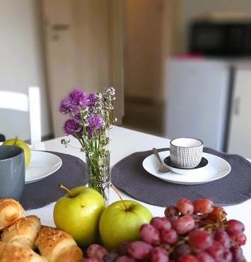apartma Vila TARA