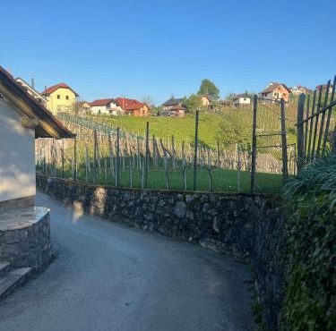 Apartma Zidanca Bele in Dolenjske Toplice