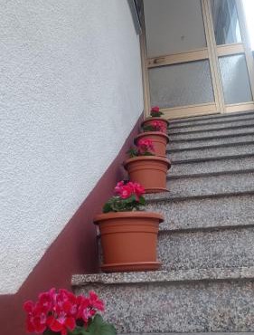Apartma Zora