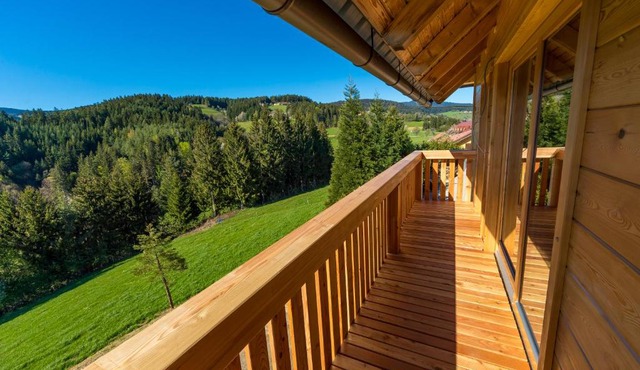 Apartmaji na kozolcu - Smogavc