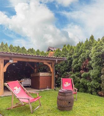 Apartmaji Seljak in Preddvor