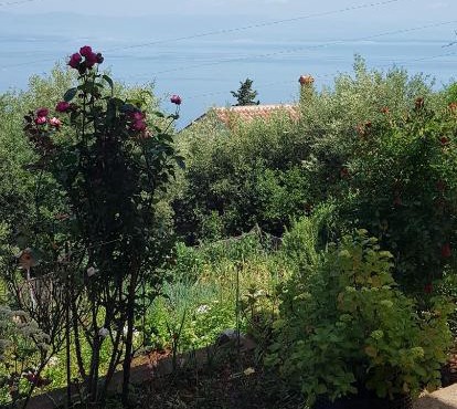 APARTMAN ANA in Mošćenička Draga