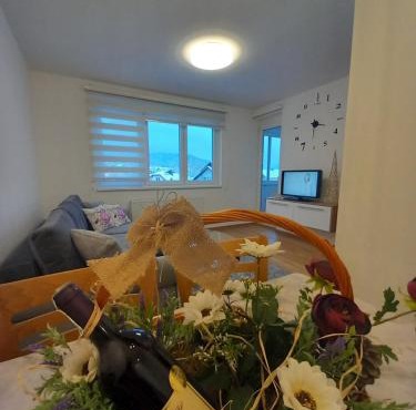 Apartman Jovana Pale in Pale
