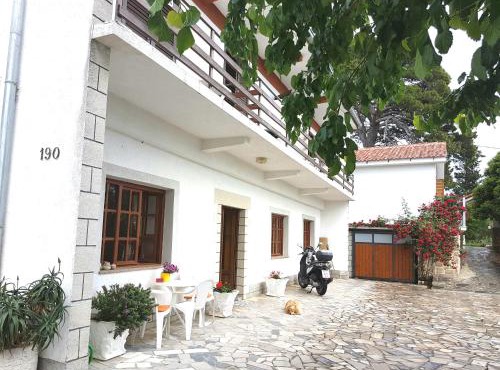 Apartman Kampor in Rab