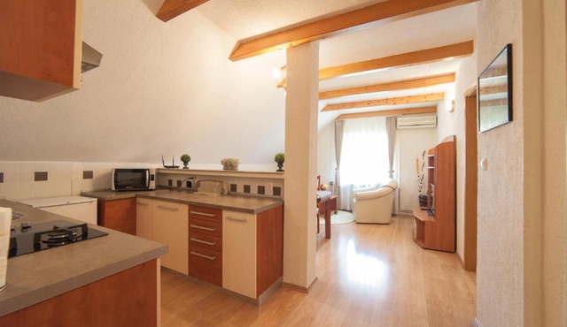 Apartmant & Room Bruna in Drežnik Grad
