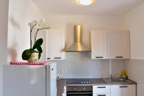 Apartment Banko in Poreč