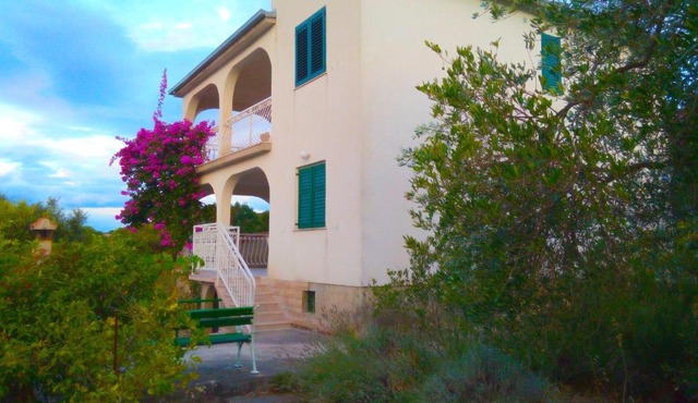 Apartment Bura in Nečujam