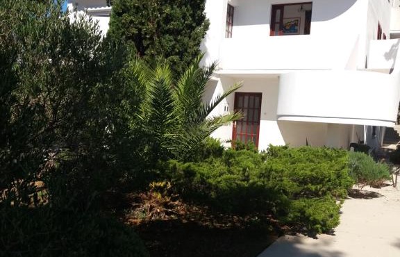 Apartment Delfina in Ist