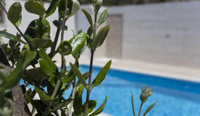 Apartment Marco in Makarska