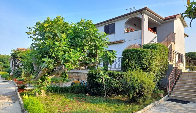 Apartment Marija, (15841), Umag, hr in Umag
