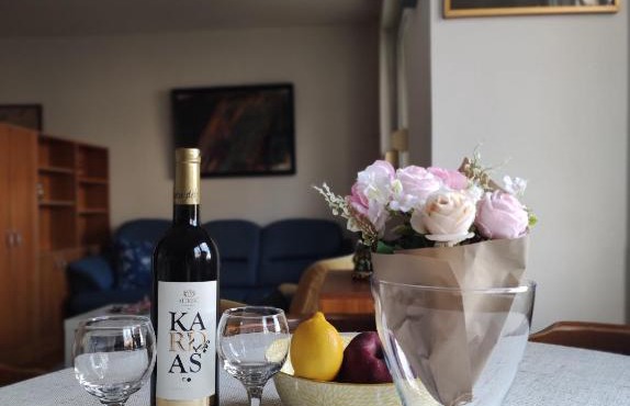 Apartment Melano in Beograd