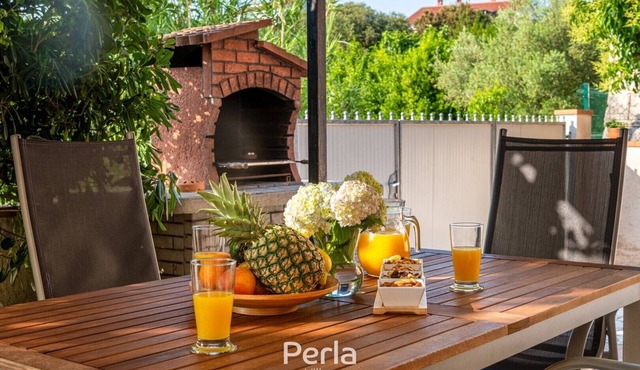 Apartment PINETA with cozy terrace and grill in Vinkuran