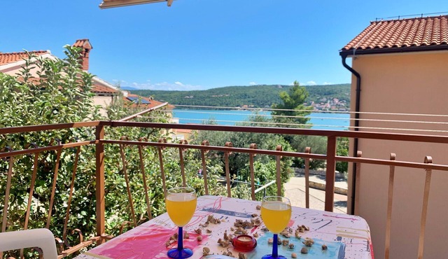Apartment Santic - sea view, 450 m from sea, balcony, washing machine, pet-friendly in Cizici