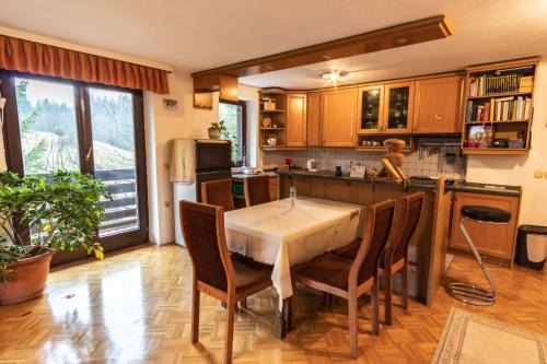 Apartment Satya