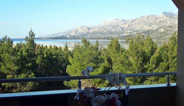 Apartment with a view of the ocean in Jasenice