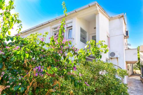 Apartments Breza in Novalja