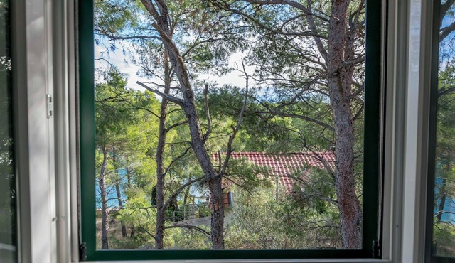 Apartments Jase (122241-A2) - Milna - island Brac in Milna - island Brac