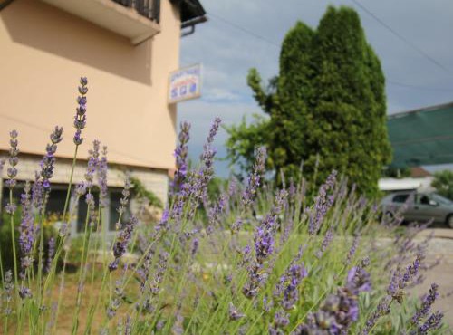 Apartments Jančić in Grabovac