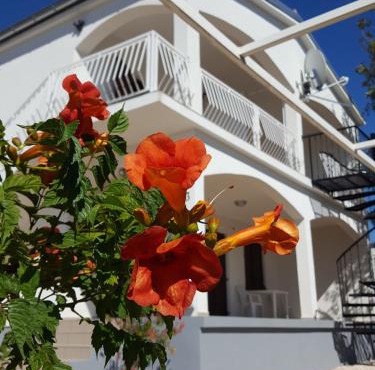 Apartments Merion in Starigrad