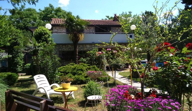 Apartments Rale in Umag